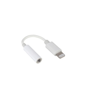 Un adaptor practic Apple de la conectorul Lightning la portul jack de 3,5 mm. Vă permite să conectați căști și alte dispozitive 