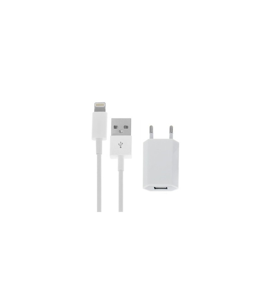 Das Ladekit für Ihre Geräte mit USB-Ladegerät und USB / Lightning-Kabel sorgt für bequemes Aufladen sowie einfache Datenübertrag